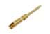Toon details voor neutriCON contact male soldeer Afbeelding van neutriCON contact male soldeer