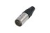 Toon details voor XLR kabeldeel 5 pin pen nikkel behuizing zilvercontact REAN Afbeelding van XLR kabeldeel 5 pin pen nikkel behuizing zilvercontact REAN