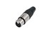 Toon details voor XLR kabeldeel 5 pin bus nikkel behuizing zilvercontact REAN Afbeelding van XLR kabeldeel 5 pin bus nikkel behuizing zilvercontact REAN