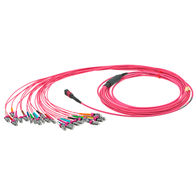 Neutrik MTP breakout cable